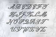 Star Mode Modern Expressive Script, a Script Font by AnMark (Thumbnail 4 of 13)