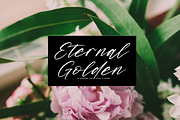 Midnight Horizon, a Script Font by Integritype Studio (Thumbnail 9 of 15)