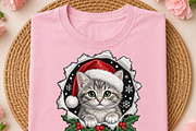 Christmas Cat Santa Hat PNG, an Object Illustration by DreamCafeArt (Thumbnail 1 of 6)
