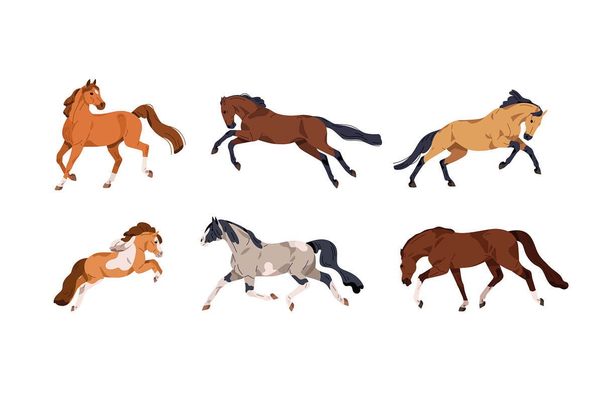 Horses of different breeds set, an Animal Illustration by Good Studio (Photo 3 of 4)
