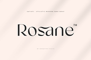 satisfy modern stylistic sans serif, a Sans Serif Font by Sensatype (Thumbnail 13 of 18)