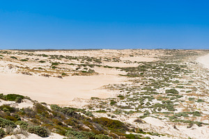 Coastal Sand Dunes, a Nature Photo by THP Creative