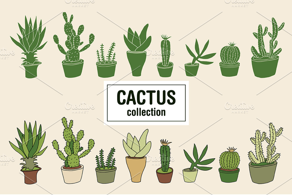 Cactus collection vector, an Illustration by Pencil Coffee