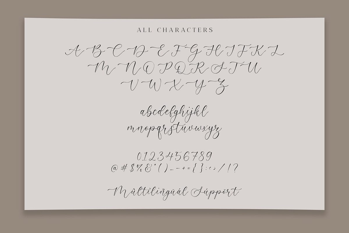 Admire Camelia - Modern Script Font, a Script Font by Timurtype (Photo 6 of 7)