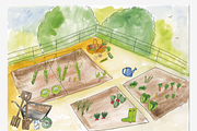 An arty Allotment, an Education Illustration by Liz Pengilley Studio (Thumbnail 5 of 11)