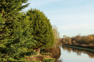 Canal reflecting green trees and clear blue sky on a tranquil sunny day, showca, a Photo by Studio ANNA