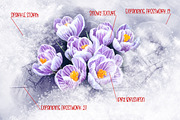 112 Winter Chill Procreate Brushes, a Brush Add-On by OlgaRom (Thumbnail 11 of 12)