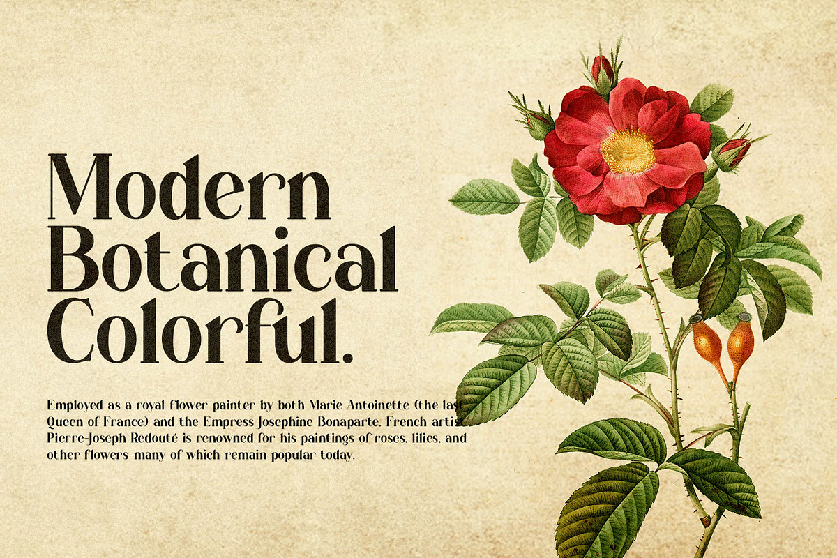 Borisna - Modern Display Serif Font, a Serif Font by Koplexs Studio (Photo 9 of 18)