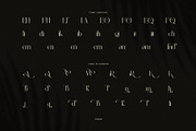 Rinda Luxury Serif Display Font, a Serif Font by Perfectype (Thumbnail 8 of 8)