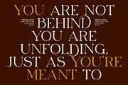 Abind Modern Serif Font, a Serif Font by Elegant Font (Thumbnail 7 of 8)