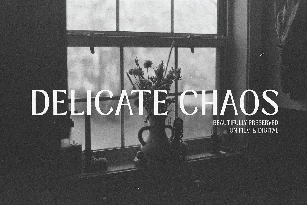 MALLARD FONT, a Font by NorthOfCopper (Photo 2 of 5)