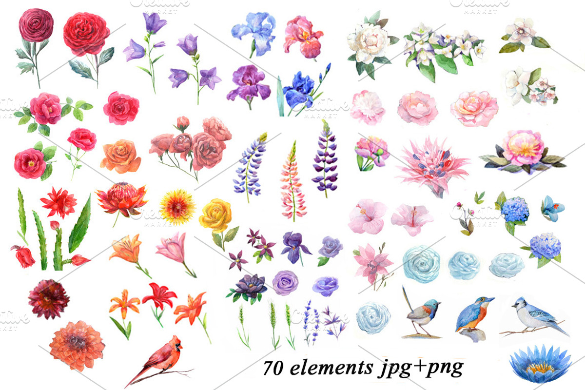 Watercolor flowers,birds., an Illustration by yulia.sukhanova (Photo 6 of 8)
