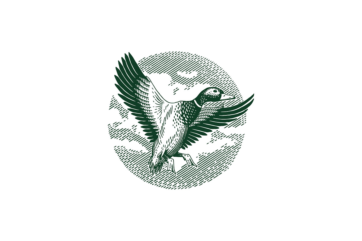 Vintage Duck Hunting Logo, a Branding & Logo Template by Pure Design
