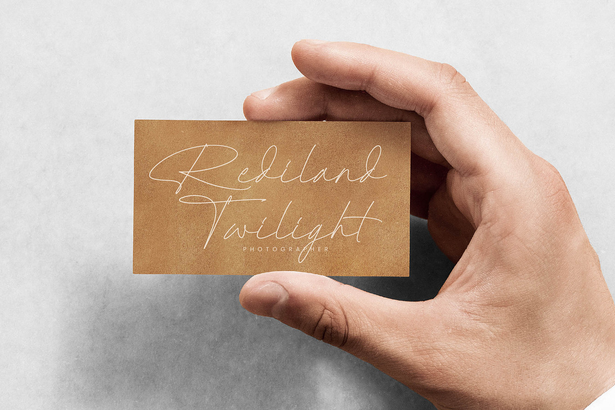 Radionte Heritage Monoline Signature, a Script Font by Letterena Studios Script (Photo 5 of 15)
