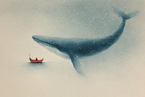 Whale swims near small red boat, a Photo by Beautiful things