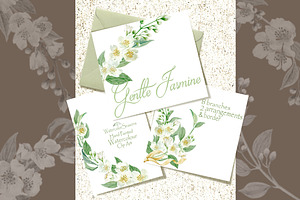 Gentle Jasmine Branch