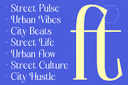 Alugfte Modern Display Serif, a Serif Font by timelesstype.co (Thumbnail 6 of 20)