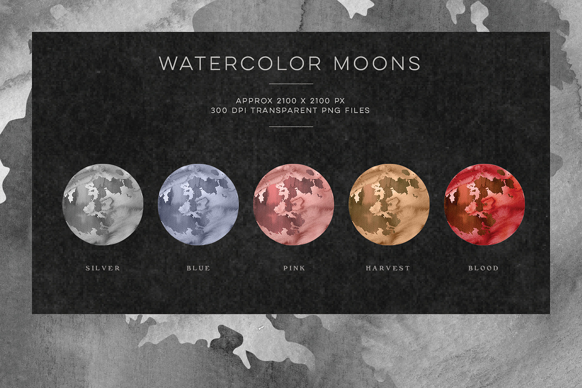 Pro Astrology Vector & Instagram Set, an Object Graphic by Blixa 6 Studios (Photo 22 of 25)
