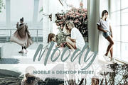 10 Moody Mobile Lightroom Presets, a Preset Add-On by LucaTheme (Thumbnail 1 of 9)