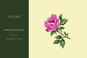 Flora Rose, Watercolor Floral Roses, a Pattern Graphic by Marchel Studio (Thumbnail 2 of 3)