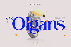 Cas Olgans Elegant Display, a Script Font by Casloop Studio