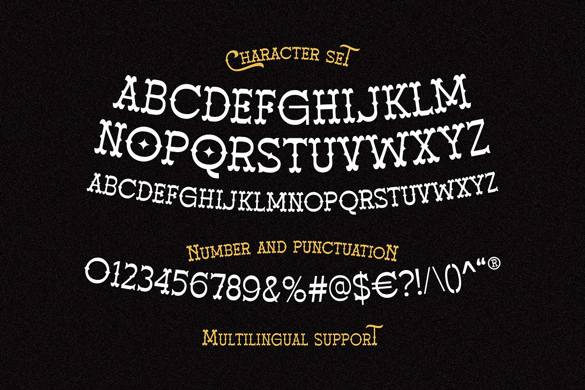 Blank Gunshot - Western Slab Serif, a Slab Serif Font by Novitype (Photo 12 of 13)