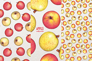 Apples With Colour Pencils + Bonus, a Food Illustration by Andrea Tardivo (Thumbnail 14 of 15)
