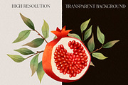 Watercolor Pomegranate clipart, a Decorative Illustration by LukaJreym (Thumbnail 5 of 10)