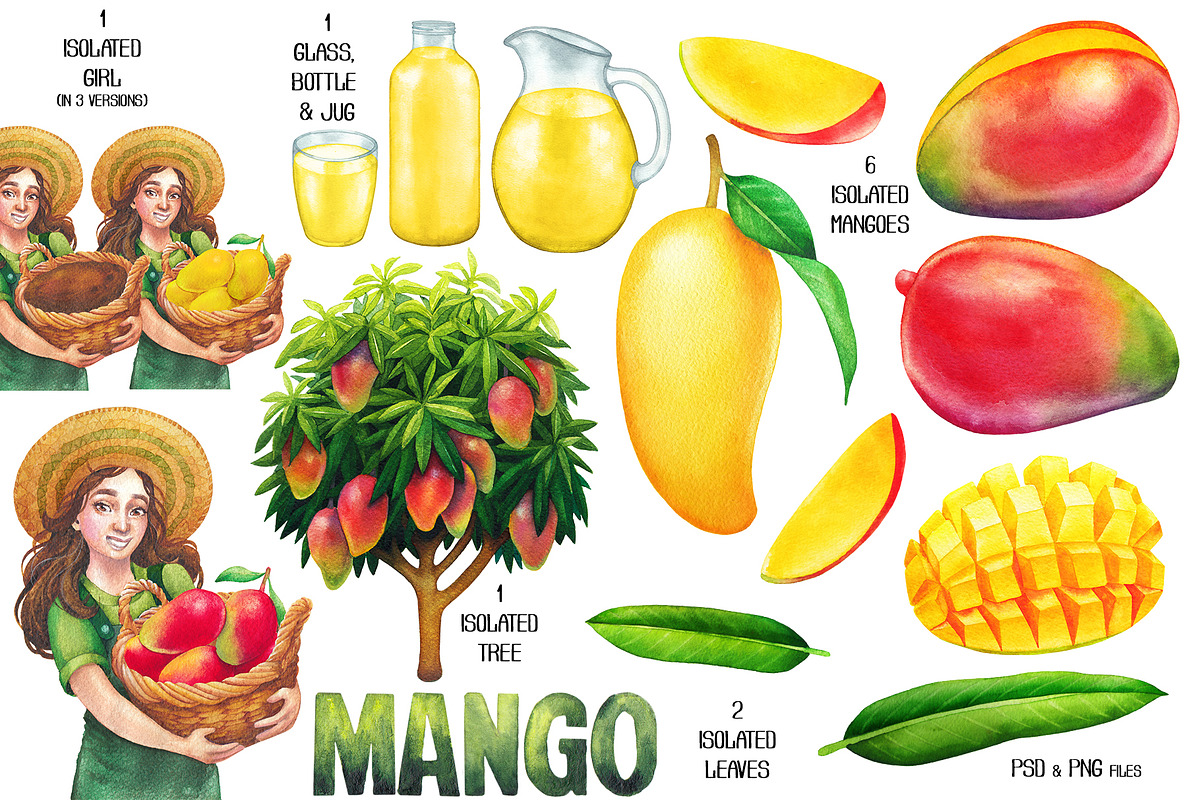 Watercolor Mango collection, a Food Illustration by Ekaterina Glazkova (Photo 2 of 6)