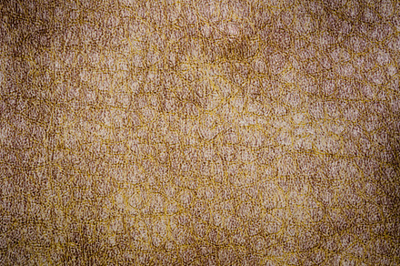 Leather texture stock photo containing leather and background, an Abstract Photo by yongkiet jitwattanatam