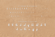 Myrellis Script - Bold Script, a Script Font by Indotype Foundry (Thumbnail 6 of 10)