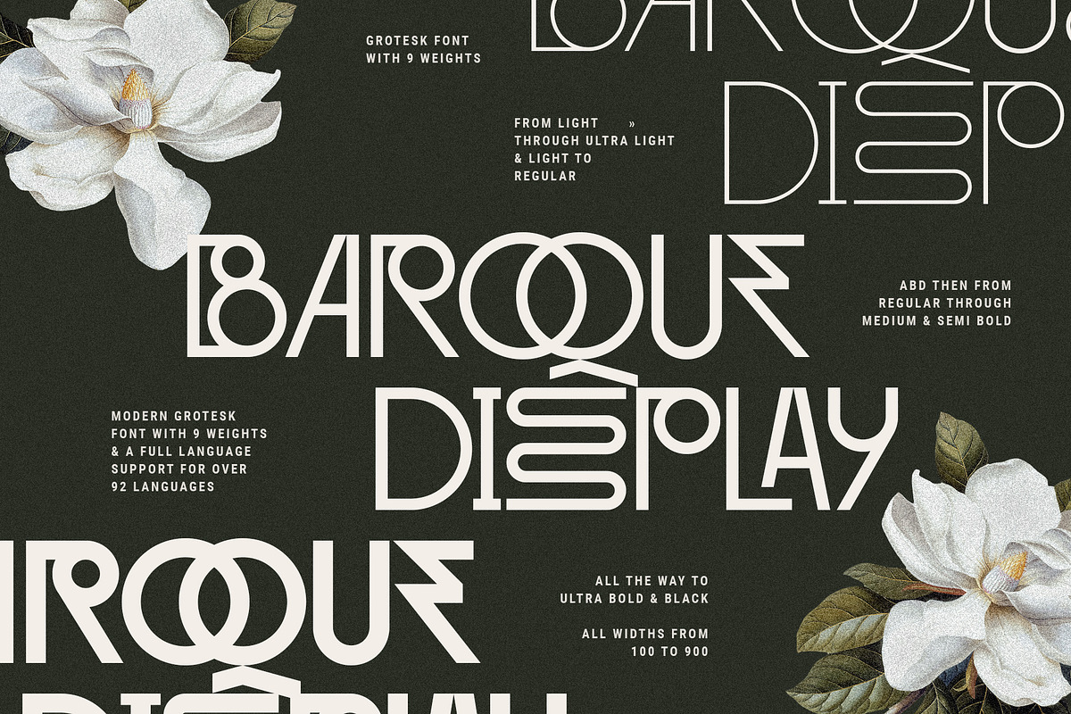 Baroque Grotesk - Ligature Rich Font, a Sans Serif Font by SilverStag Type Foundry (Photo 8 of 20)
