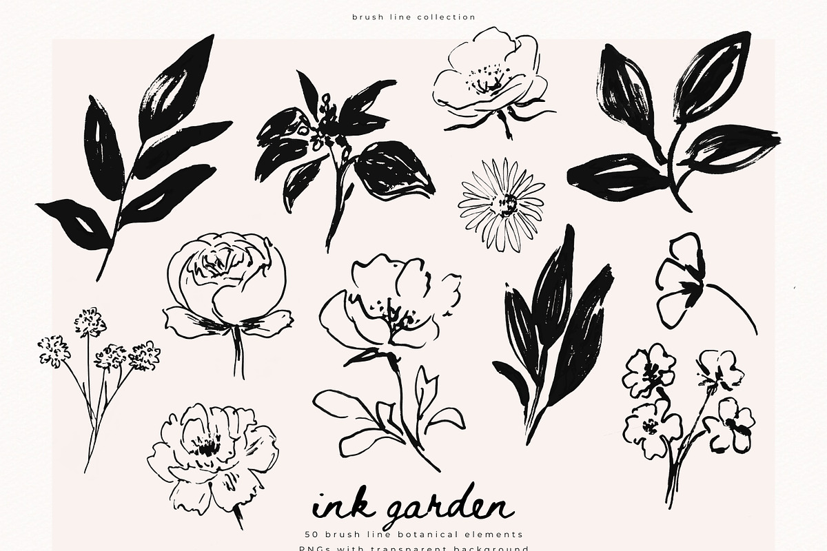 Ink Garden - 50 Brush Line Elements, a Decorative Illustration by PeDe Designs (Photo 3 of 7)
