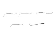 Camelia Calligraphy Modern, a Script Font by Teweka (Thumbnail 10 of 11)