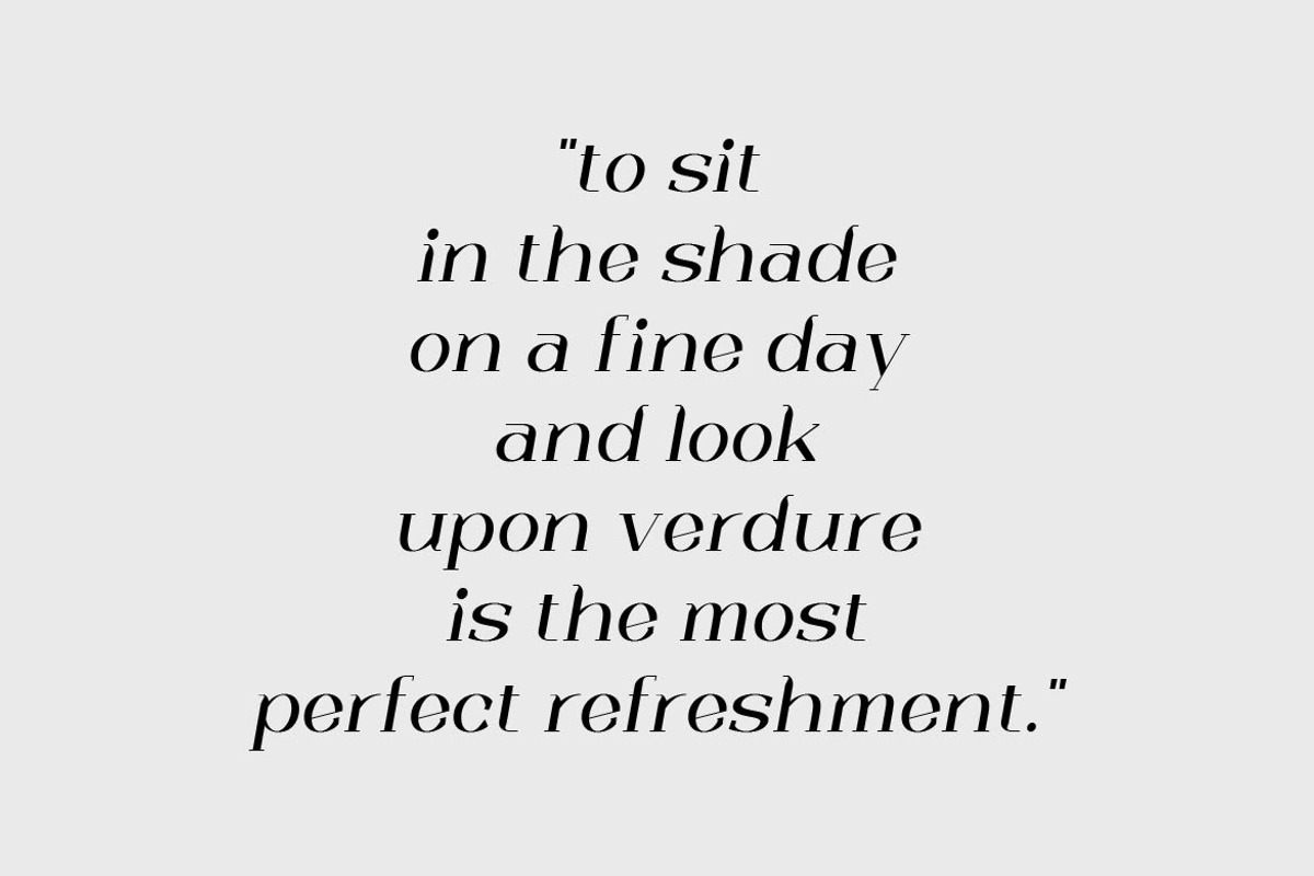 Trotty Elegant Serif Font Family, a Serif Font by Artiveko (Photo 5 of 8)