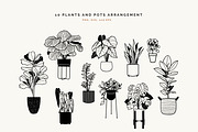 House Plants and Pots Collection, an Illustration by imajineko (Thumbnail 8 of 9)