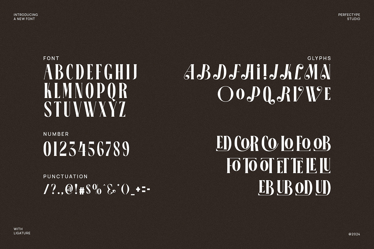 Bicoral Elegant Stylish Serif Font, a Serif Font by Perfectype (Photo 6 of 6)