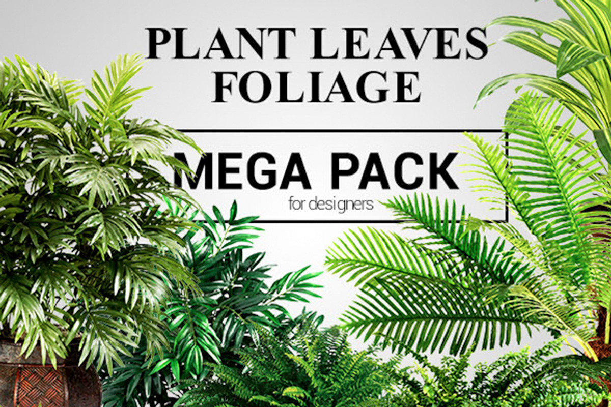 Plant Leaves Foliage Mega Pack, an Object Graphic by Sladedesign (Photo 1 of 5)