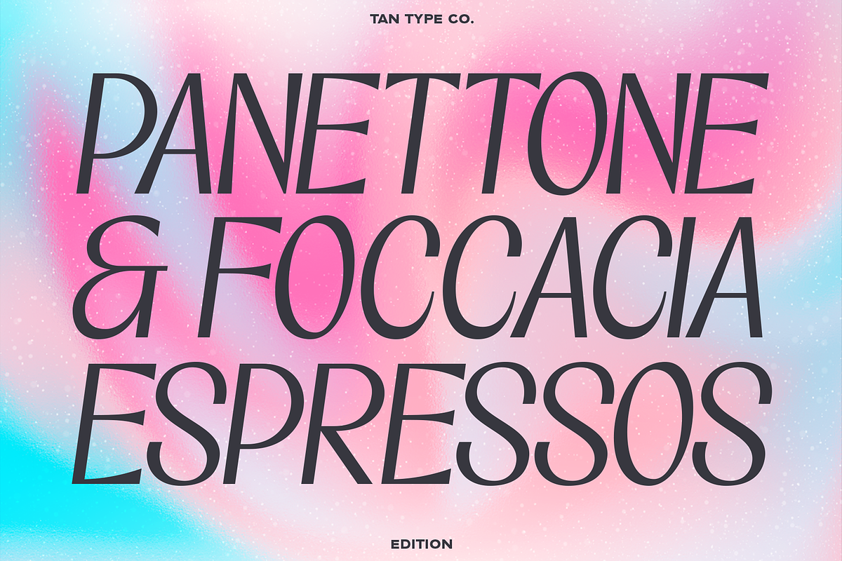 TAN-EDITION, a Sans Serif Font by TanType (Photo 7 of 10)
