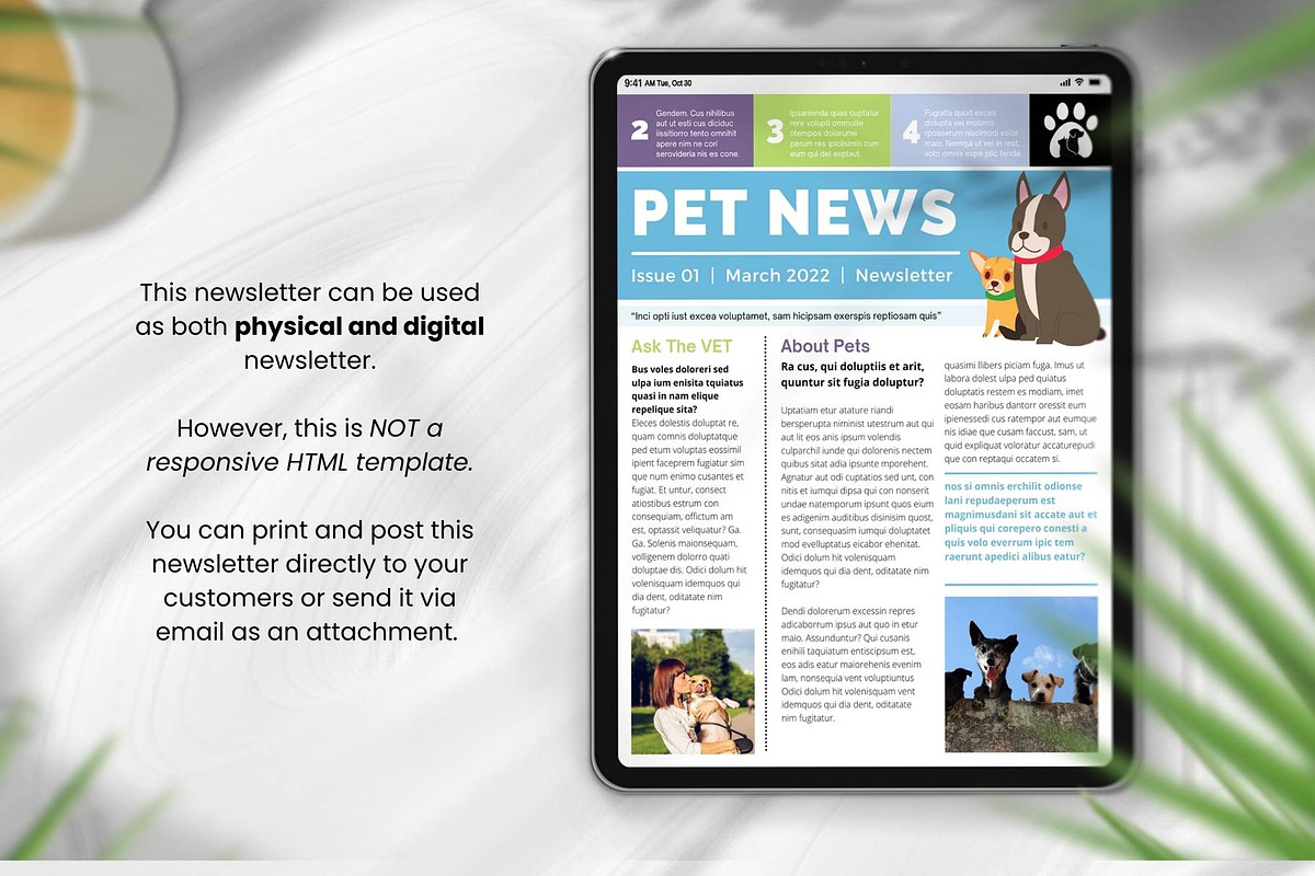 Canva Newsletter Template Pet Care, an Email Template by PixelCraft (Photo 14 of 15)