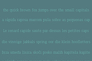 Legacy'17 Pro Typeface, a Slab Serif Font by Tapiwanashe Garikayi (Thumbnail 8 of 9)