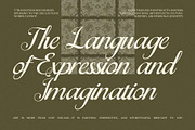 Monica Elegant Script Font, a Script Font by Elegant Font (Thumbnail 4 of 8)