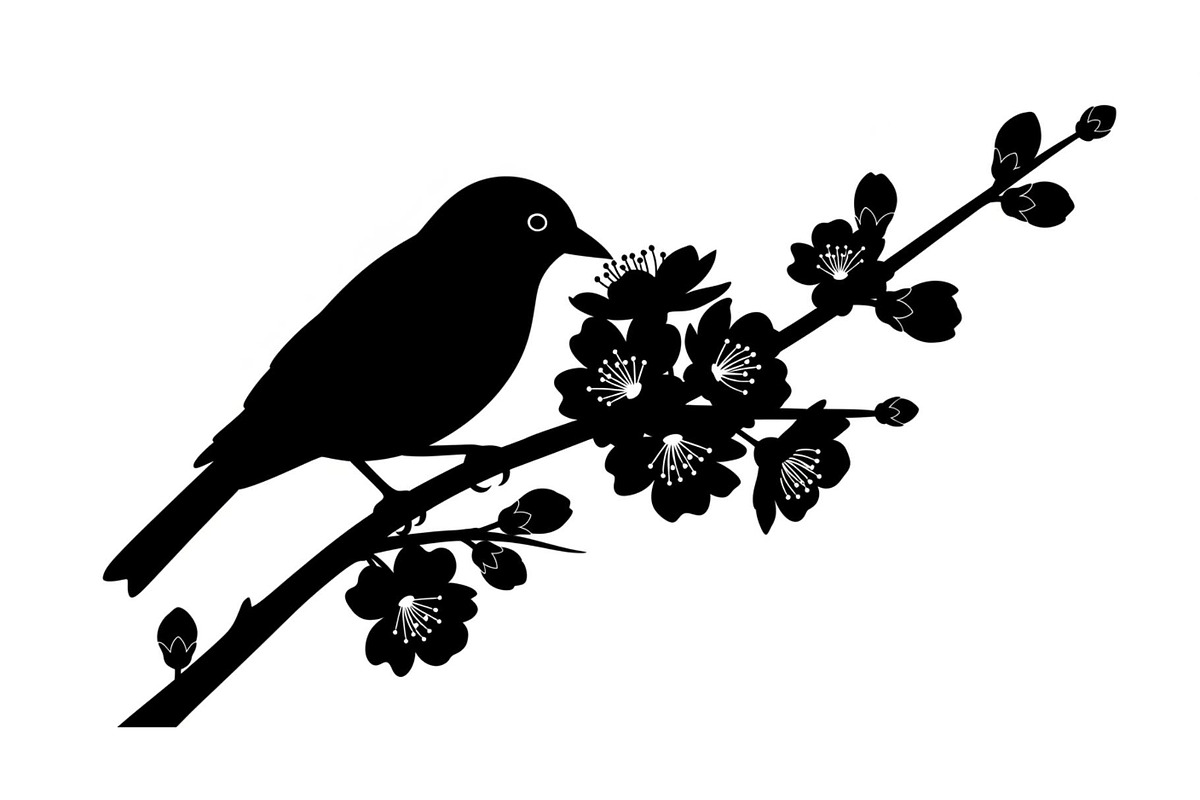 Bird Branch Silhouette Bundle, an Illustration by yasushie (Photo 3 of 31)