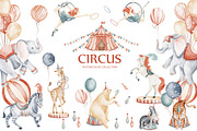 Cute Circus Watercolor Clipart Set, an Animal Illustration by LenArt (Thumbnail 1 of 18)