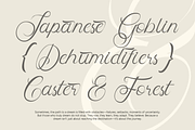 Skipten - Script Handwritten Font, a Script Font by Pekotype (Thumbnail 5 of 11)