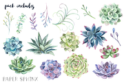 Watercolor Succulents Clipart, an Illustration by PaperSphinx (Thumbnail 2 of 3)