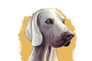 Most Popular Dog Breeds Pet Portrait, an Animal Illustration by Dneprstock (Thumbnail 22 of 23)