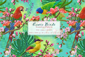Exotic birds seamless pattern