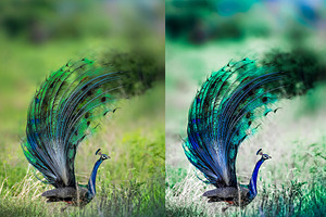 10xLightroom Presets Peacock Presets