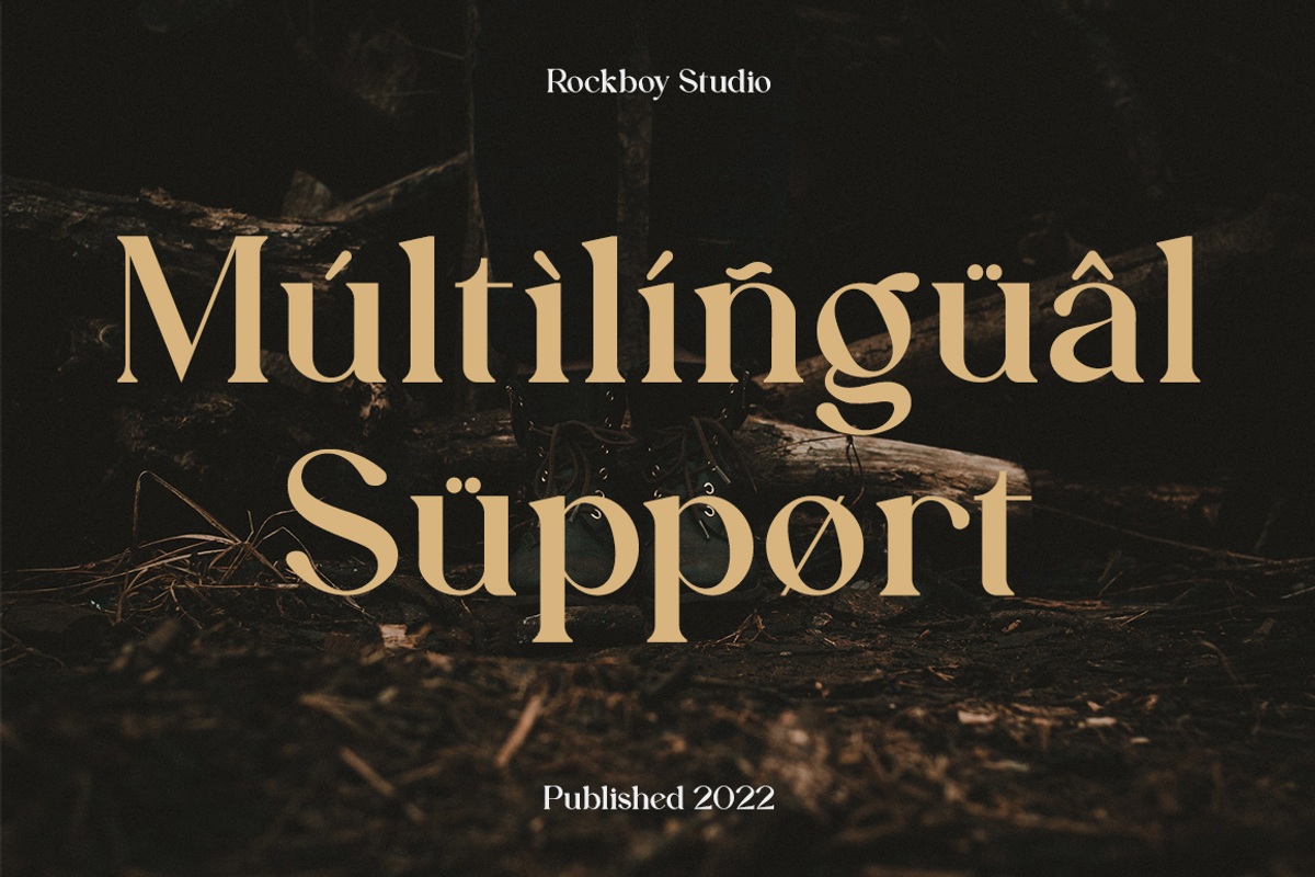 Aesthetiva - Elegant Serif Font, a Serif Font by RockboyStd (Photo 10 of 12)